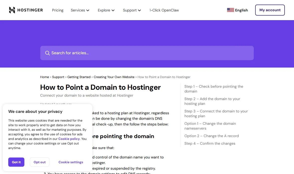Hostinger domain pointing help page
