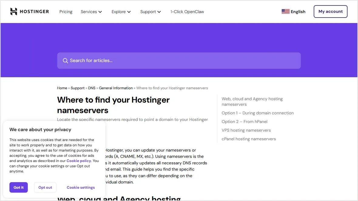 Hostinger nameservers help page
